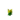 Dandelion JE6