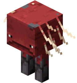 Baby strider