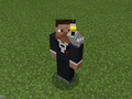 Gray Parrot on Tuxedo Steve.png