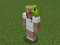Green Parrot on Tennis Steve.png