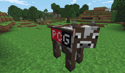 FOUNDED A NEW COW IN MINECRAFT WOWWWW, FT. THE CARZY GAMER