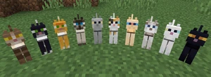 Cat – Official Minecraft Wiki