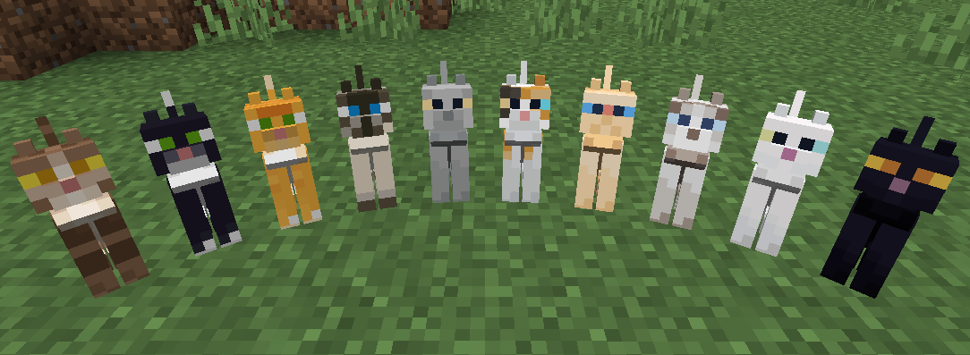 DOMESTIQUEI TODOS OS GATOS DO MINECRAFT NUM SÓ VÍDEO 