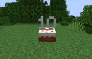 10 Years Cake.jpg