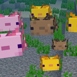 Category Bedrock Edition 1 16 230 Betas Official Minecraft Wiki
