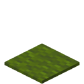 Green Carpet