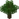 Oak JE8