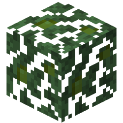 Taiga