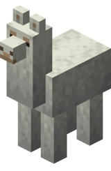 Gray Llama