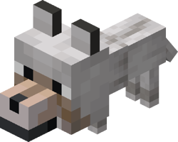 Wolf pup