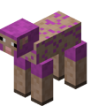 Sheared Magenta Sheep.png