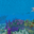 V1.5.0.4 panorama 1.png