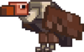 Vulture