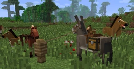 13w21a Banner