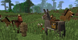 13w21a Banner