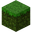 Jungle Edge Grass Block 14w10a.png
