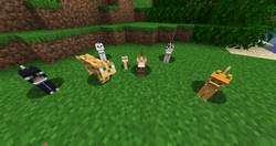 Ocelot Minecraft Wiki
