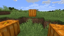 A pumpkin generated on top of grass.