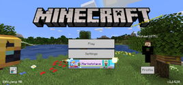 Minecraft Bedrock v1.14.30