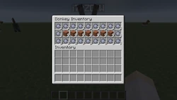 The first image of the donkey chest inventory.[5]