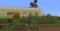 One of the Villager skins. (At the time this green robed villager was unimplemented)