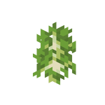 Birch Sapling JE7 BE2