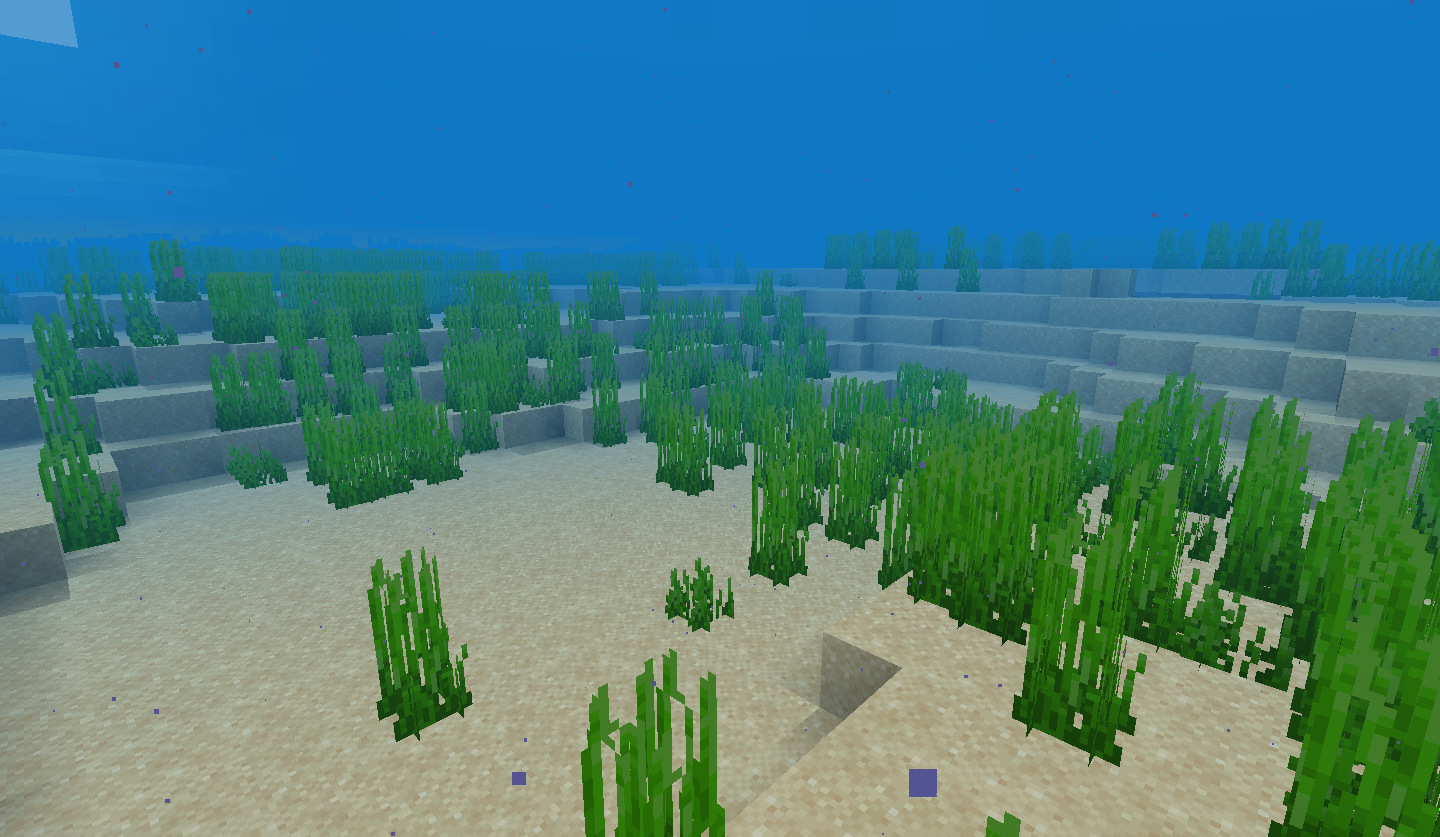 Ocean Biome, Minecraft Wiki