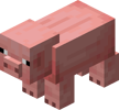 Pig JE3 BE2