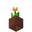 Potted Orange Tulip UNKVER1 (facing NWU).png