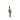 Stem Age 12 JE3