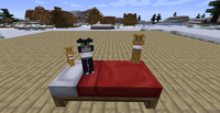 1.2.4 catsSitting