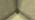 Potted Oak Sapling JE3