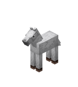 Horse foal