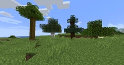 A variety of tree types: From left to right, oak, birch, spruce, and jungle.