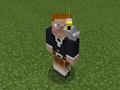 Gray Parrot on Scottish Steve.png