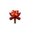 Fungus