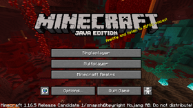 Java Edition 1 16 5 Release Candidate 1 Official Minecraft Wiki