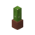 Potted Cactus