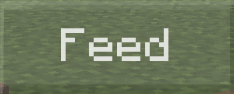 use the f3 button in minecraft for mac