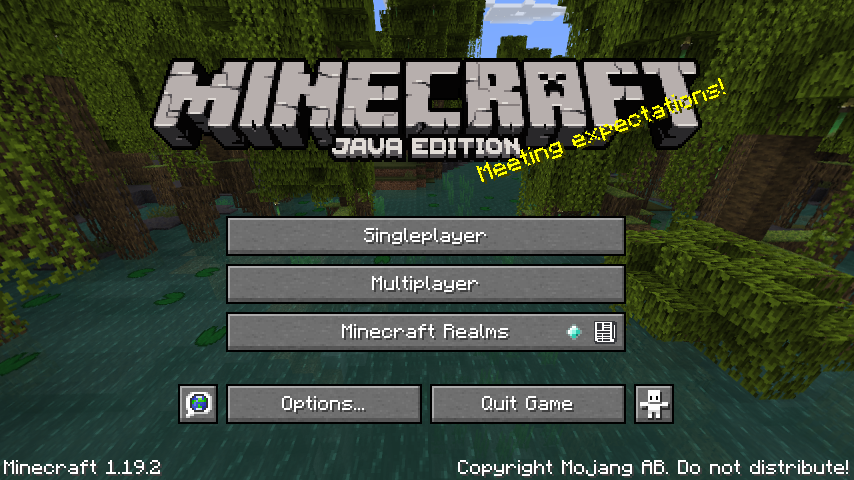 What is Minecraft 1.19 2 version in Java?