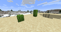 Naturally generated cacti