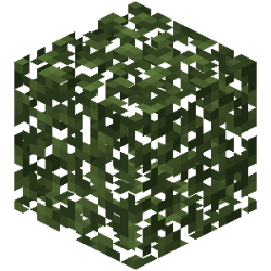Birch Leaves