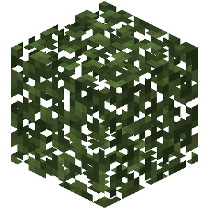 Leaves – Minecraft Wiki