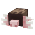 Mole cosmetic item.