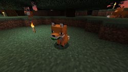 Renard Le Minecraft Wiki Renard Le Minecraft Wiki
