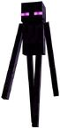 1434. Enderman (Ace)