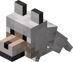 Wolf/Gallery, Minecraft Wiki, Fandom