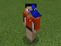 Parrot Official Minecraft Wiki