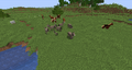 A herd of donkeys and horses spawned next to each other.