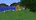 Sunflower 14w30b